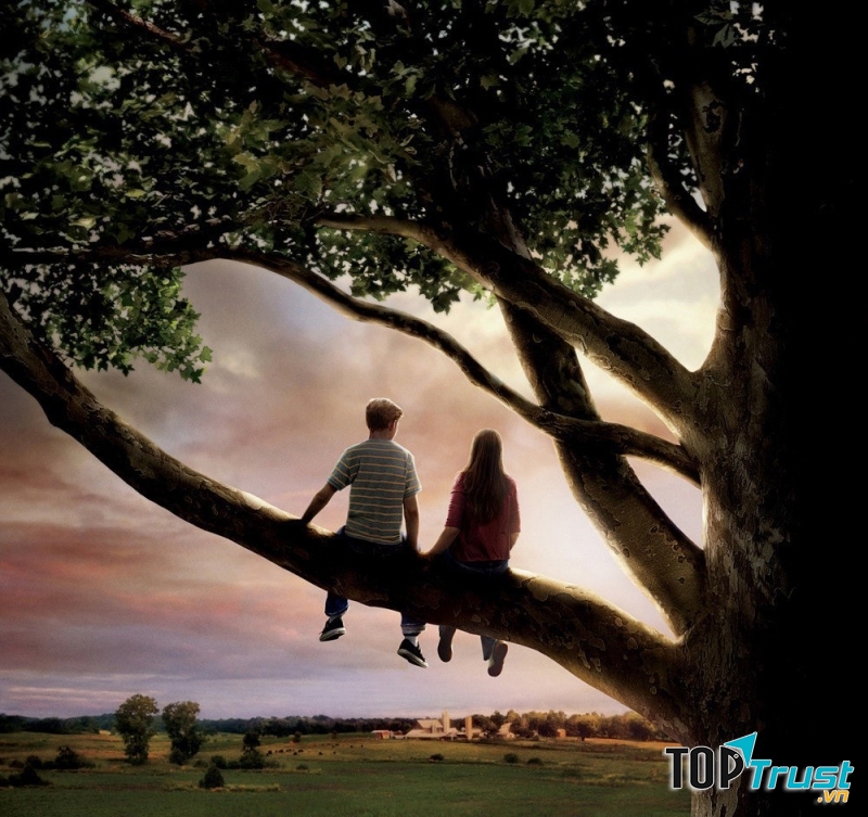 Bộ phim sẽ khiến bạn tủm tỉm cười mãi đến phút cuối