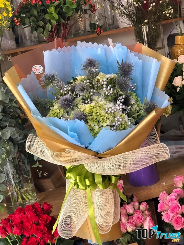 Lạ quá phải không? Là em Tú cầu, nhím biển, bột hạc 