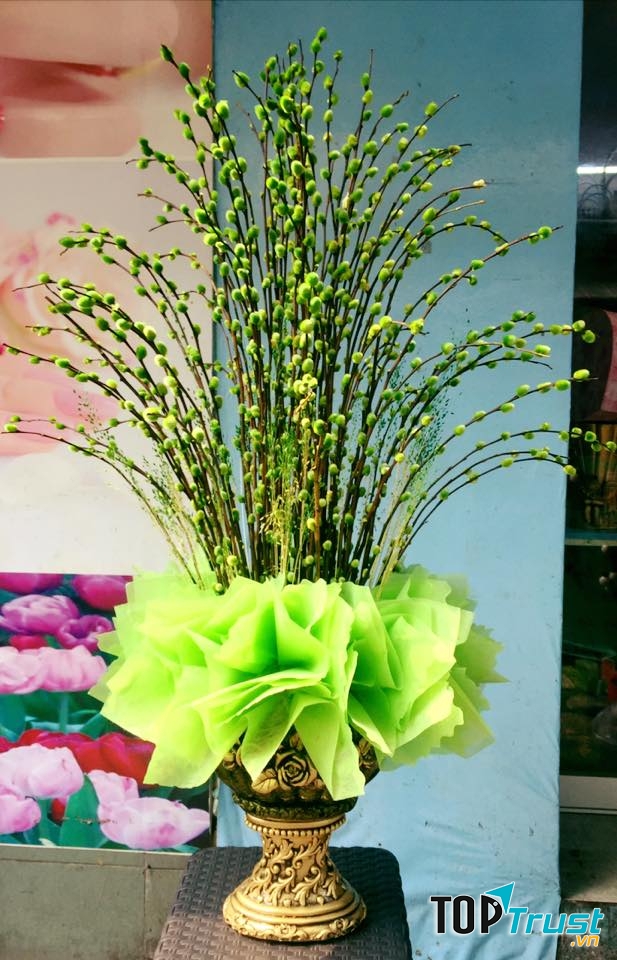 Mỗi loài hoa có một vẻ đẹp riêng