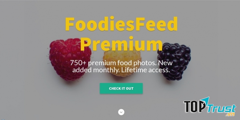 Foodiesfeed.com