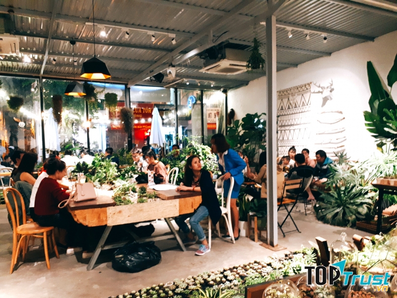 Bước chân vào bạn sẽ thấy một không khí dễ chịu, màu xanh dịu mắt từ những chậu cây nhỏ được bày trí khắp xung quanh.