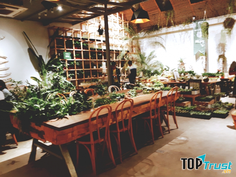 ForDeer - Coffee With Tree