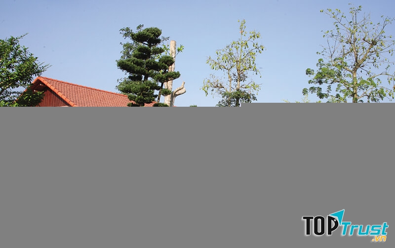 Forever Green Resort