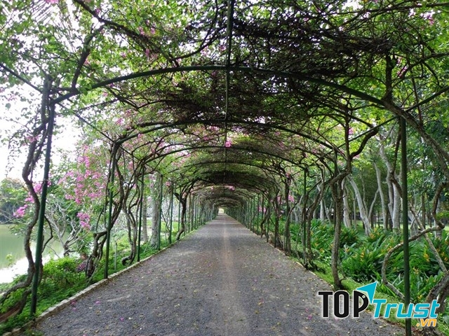 Cung đường tuyệt đẹp