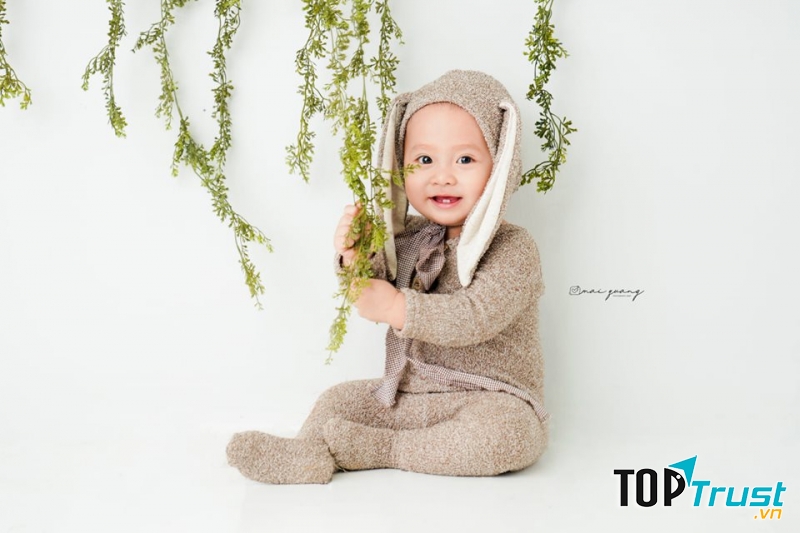 Foxhouse- Baby Bình Long