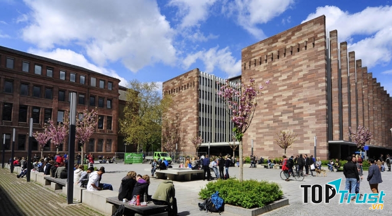 Freiburg là một trường đại học lí tưởng dành cho bạn.