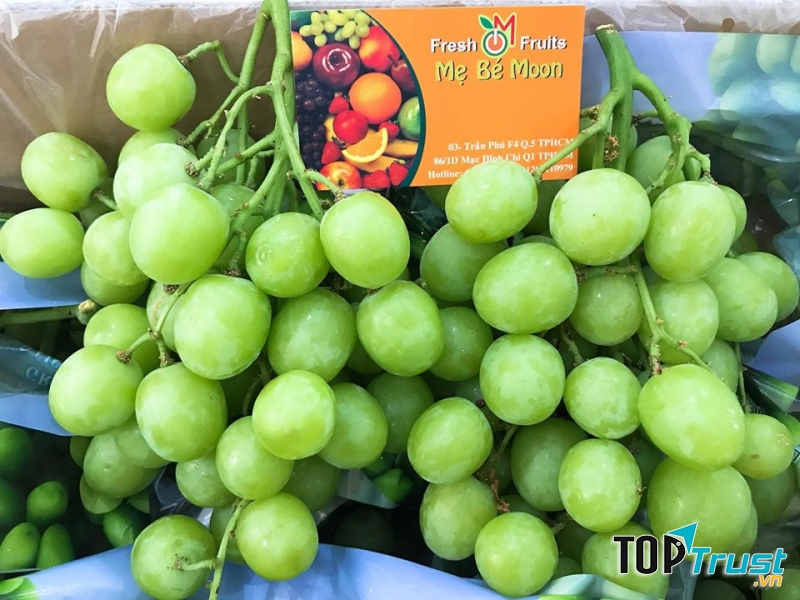 Fresh Fruits Shop - Mẹ Bé Moon