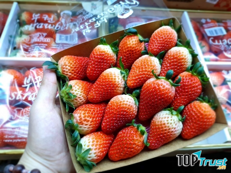 Fruit Garden - Hoa quả chất lượng cao