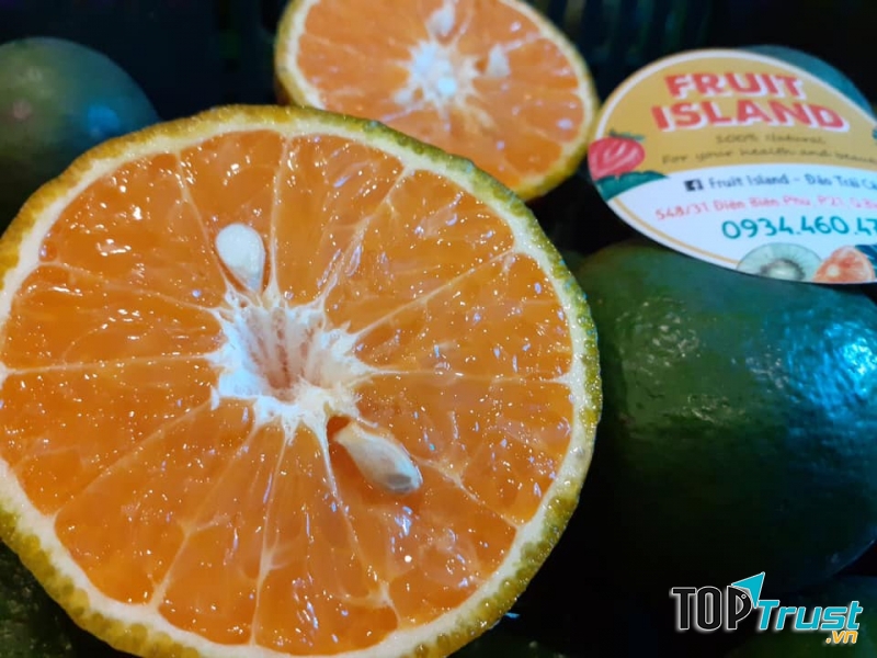 Fruit Island - Đảo Trái Cây