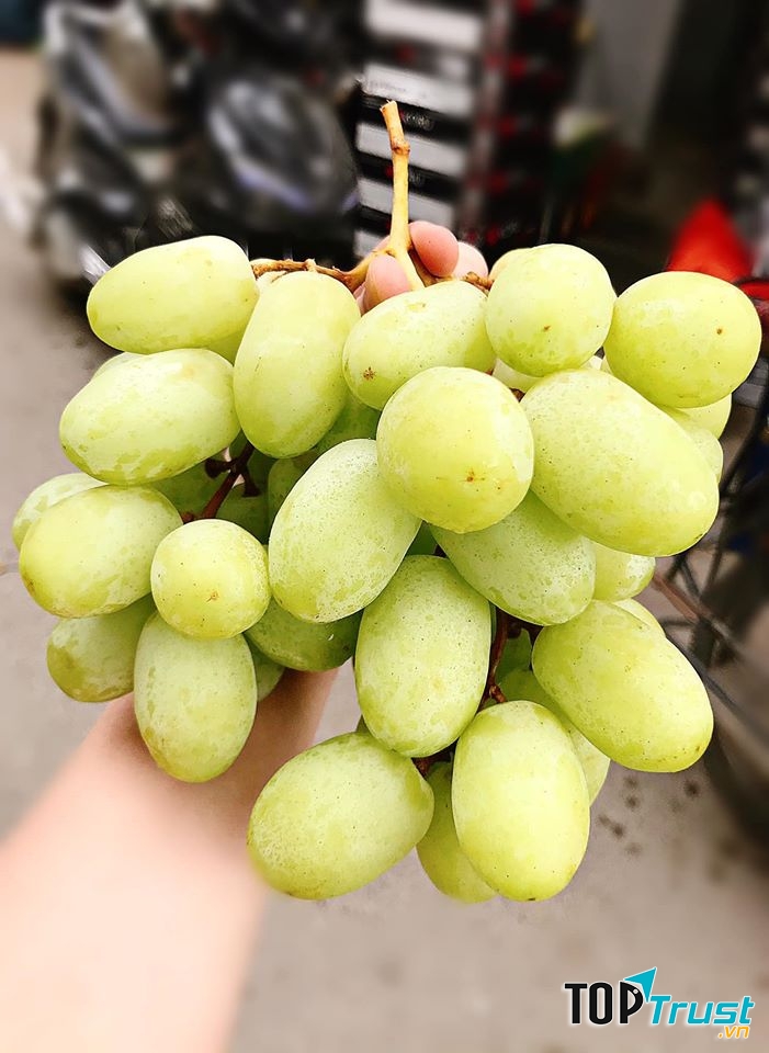 Fruits House Bắc Ninh