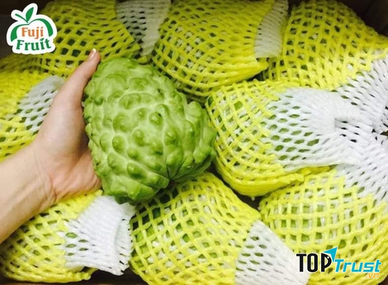 Fuji Fruit Thái Nguyên