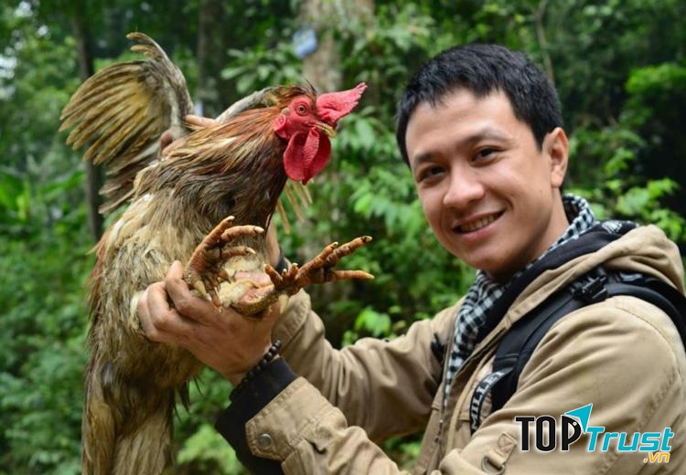 Vương quốc gà chín cựa