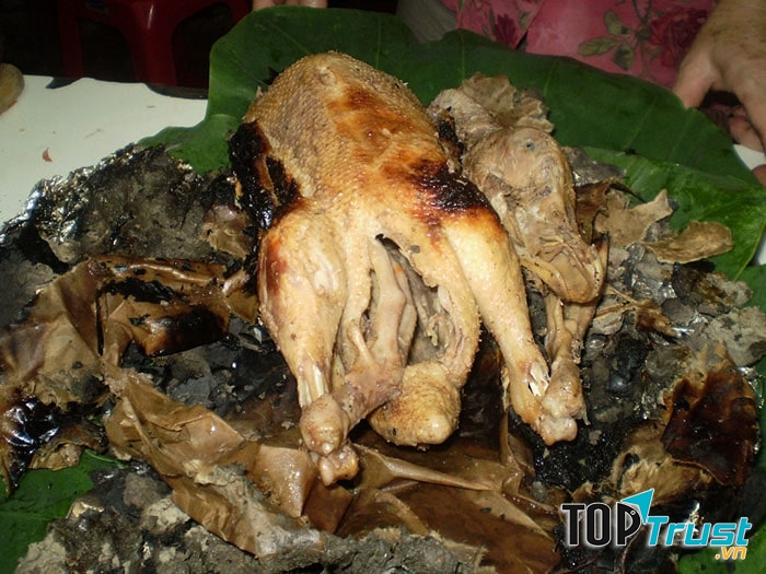 Gà đồi Mộc Châu