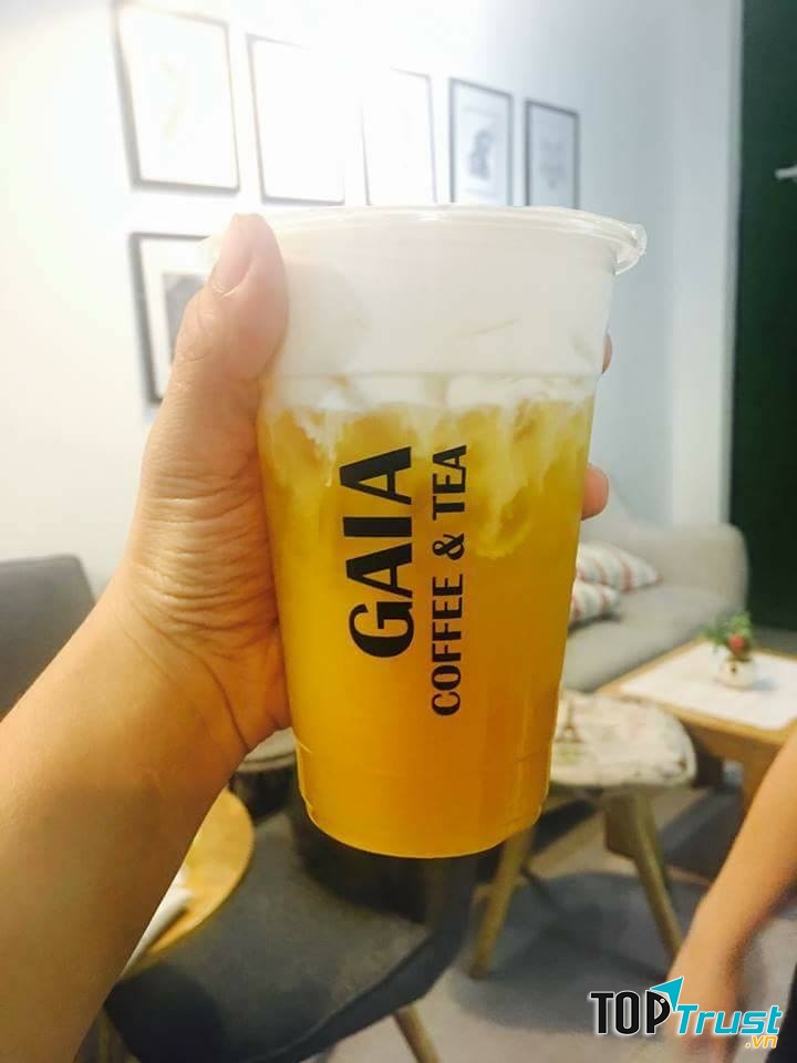 GAIA Coffee & Tea