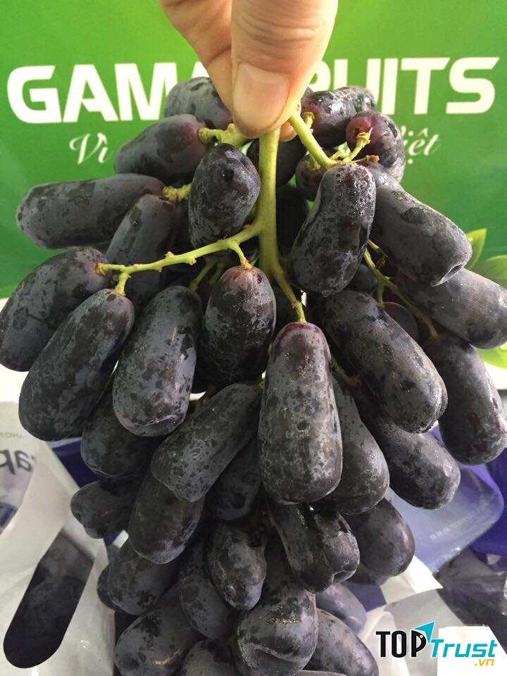 Gama Fruits