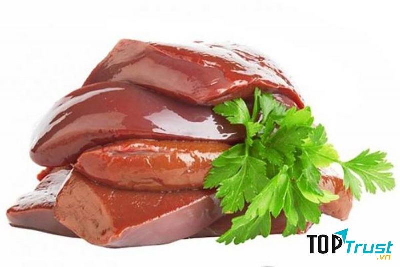 Gan động vật