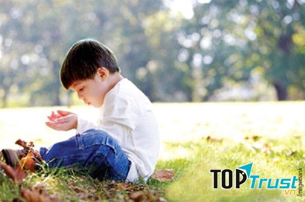 Gắn bó bất thường