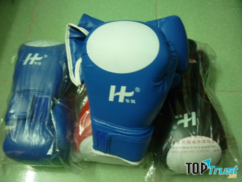 Găng tay Boxing chữ H