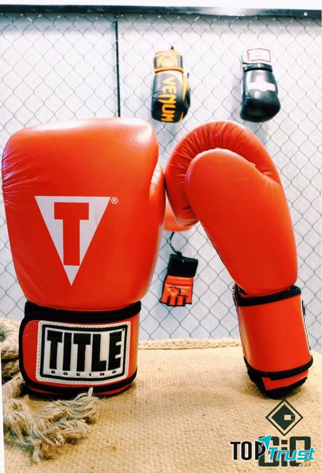 Găng tay đấm bốc Title