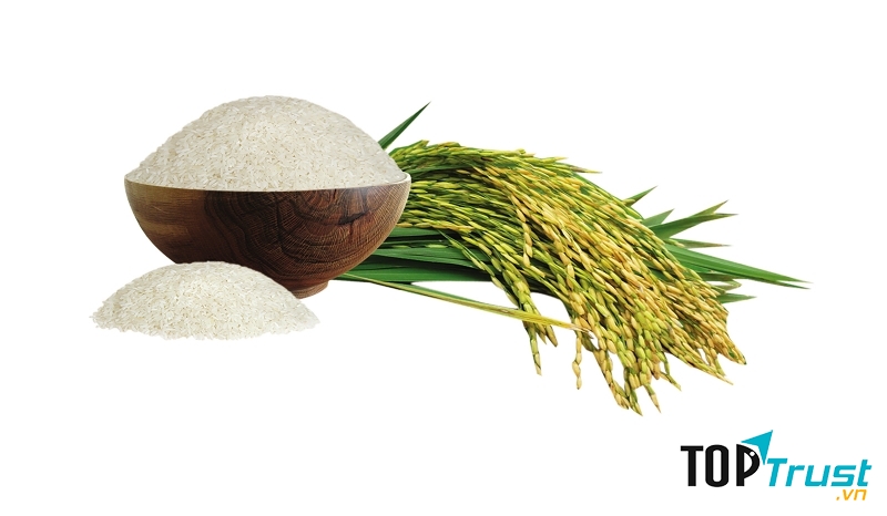 Gạo đặc sản Gia Hưng