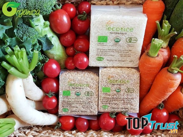 Gạo Ecorice