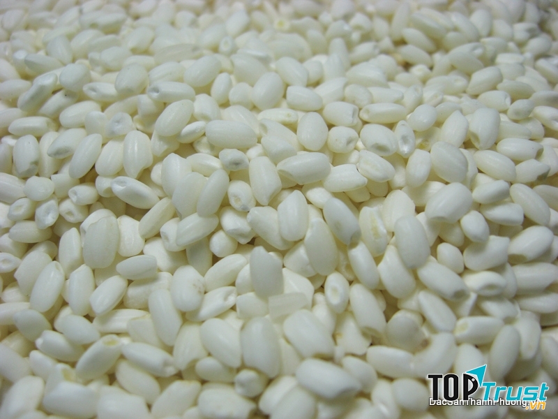 Hạt gạo nếp cái hoa vàng tròn, thơm