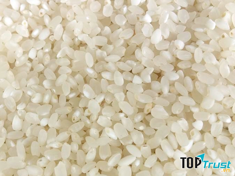 Gạo nếp Tú Lệ có những đặc điểm như: hạt gạo đầy, tròn, trắng trẻo