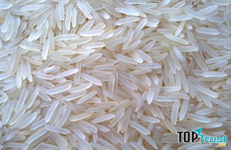 Gạo tám xoan Hải Hậu