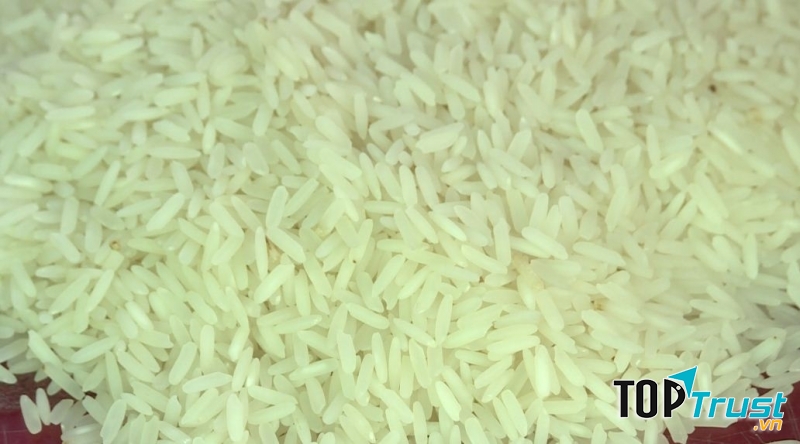 Một giống gạo khá lâu đời tại Thái Bình