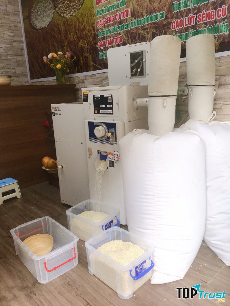 GẠO TƯƠI NGỌC THỰC