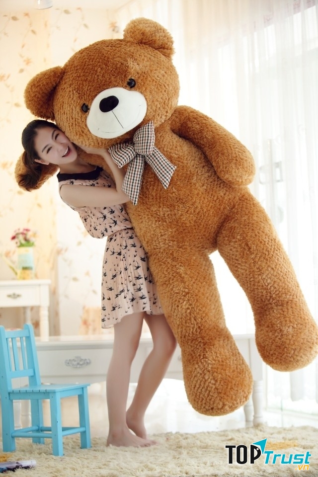 Gấu bông