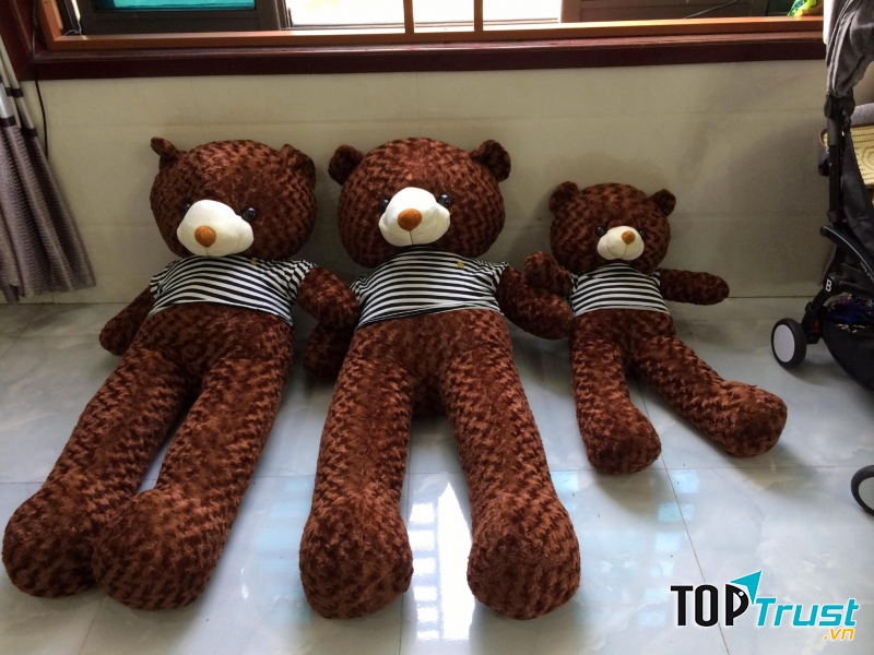Gấu Bông Đẹp, Giá Rẻ