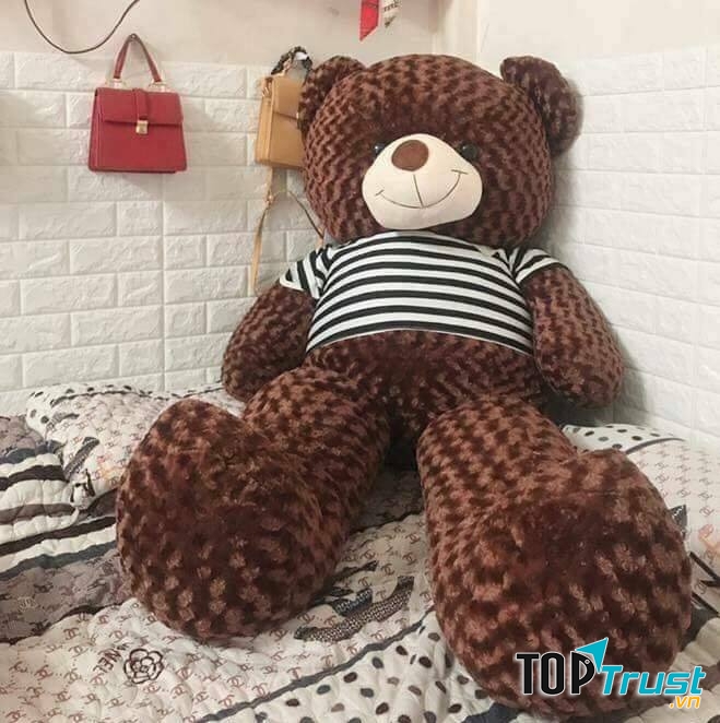 Gấu Bông Đẹp, Giá Rẻ