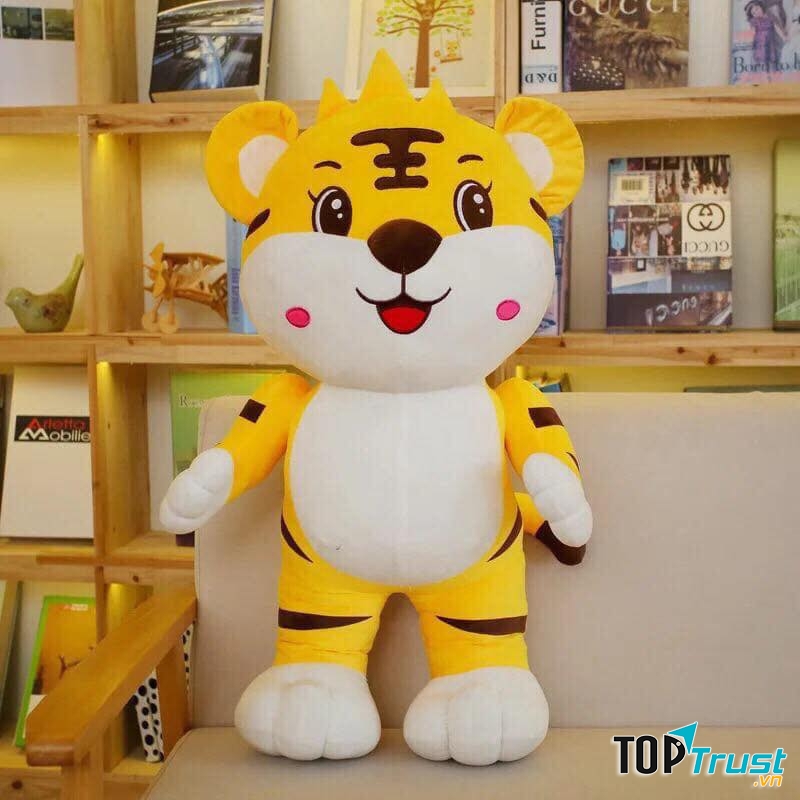 Gấu Bông High Quảng Ninh