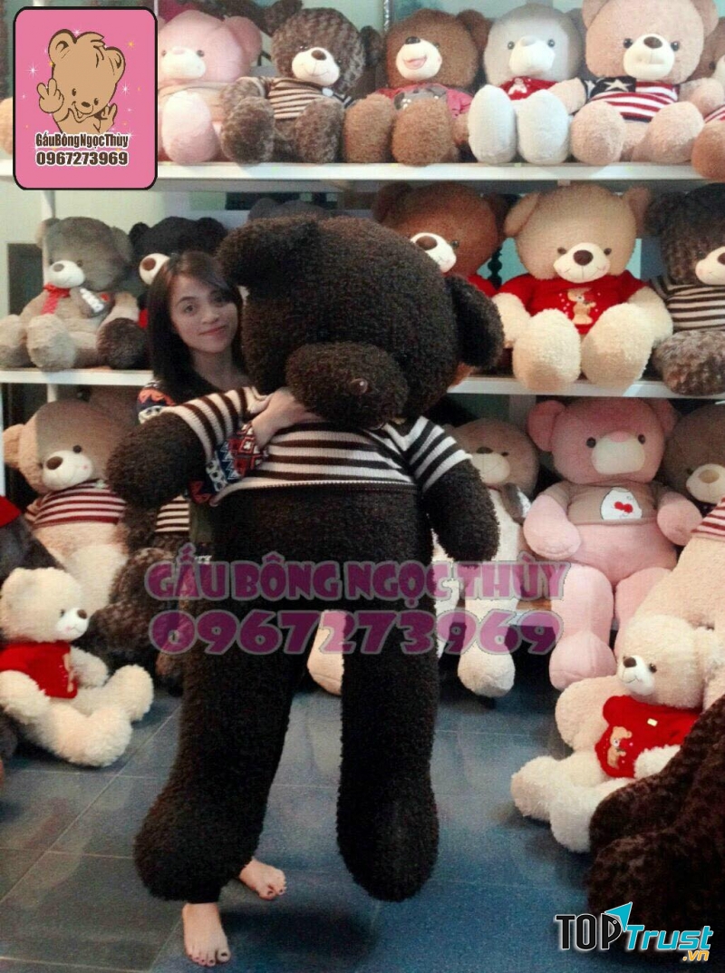 Gấu bông Ngọc Thuỳ