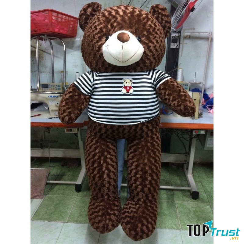 Gấu bông Teddy Cao Cấp