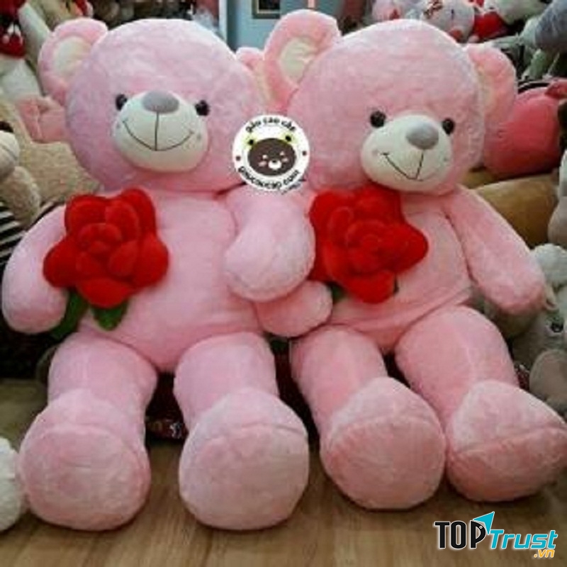 Teddy hồng ôm hoa