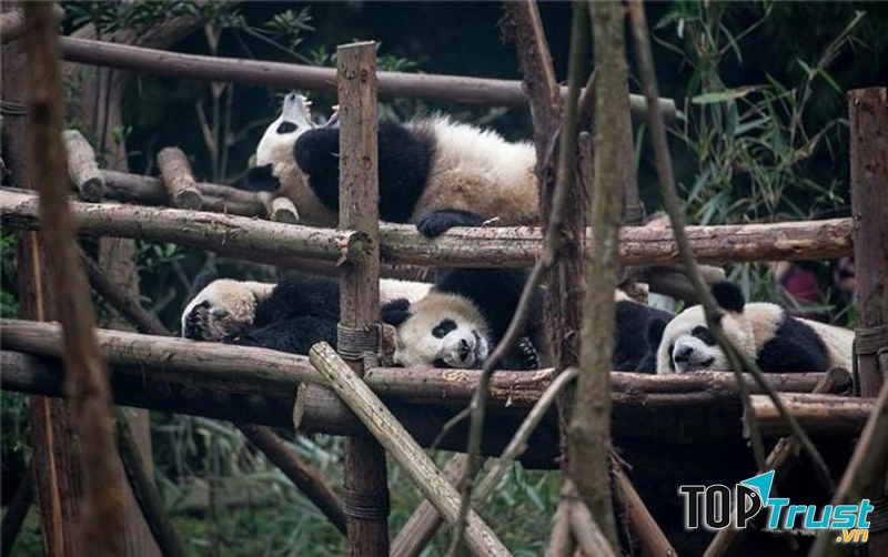 Nằm chút rồi ăn tiếp nha