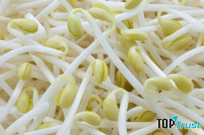 Giá đậu giúp giảm cân hiệu quả