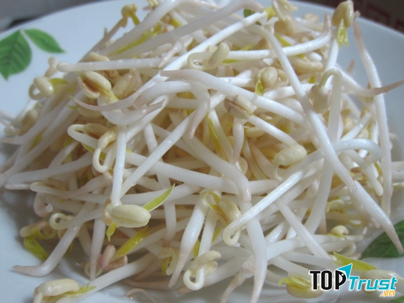 Không nên ăn giá đỗ khi chưa được nấu chín