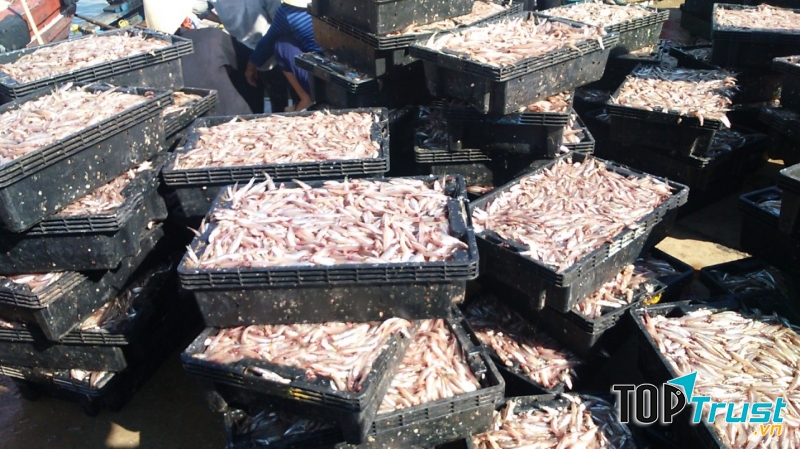 Thành phần nước mắm truyền thống chủ yếu từ ác cơm nên độ đạm rất cao