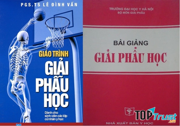 Giáo trình giải phẫu học