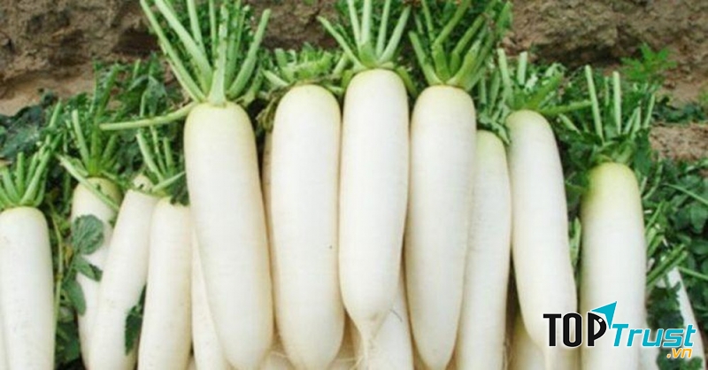 Giải rượu bằng củ cải trắng