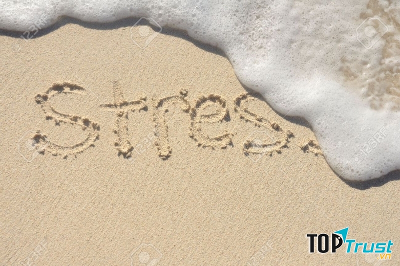 Ảnh minh họa (Nguồn Internet)