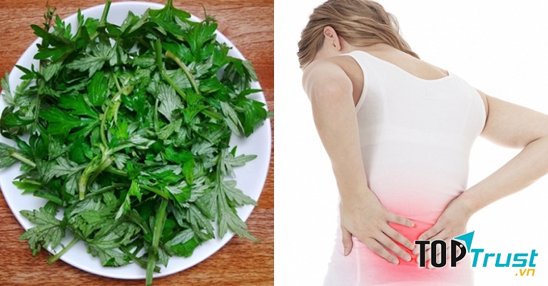 Ngài cứu được rang nóng với muối làm thuốc chườm hoặc kết hợp với mật ong giúp giảm đau lưng