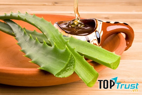 Nha đam giảm khô môi, làm mềm môi