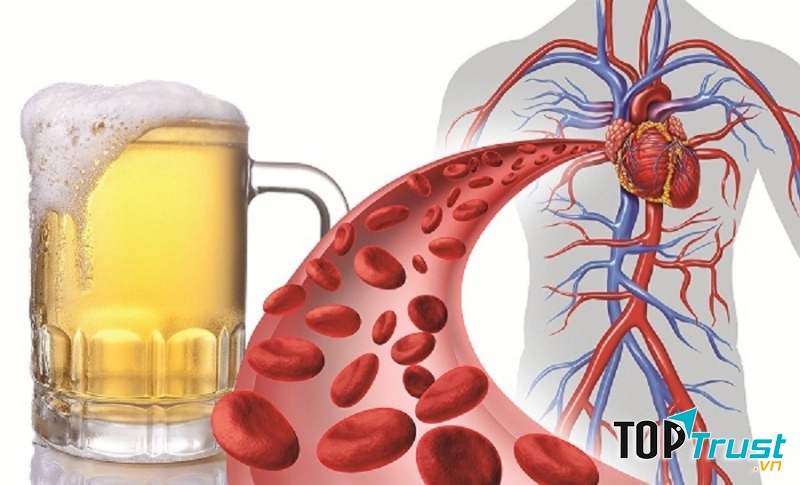 Bia bảo vệ tim mạch