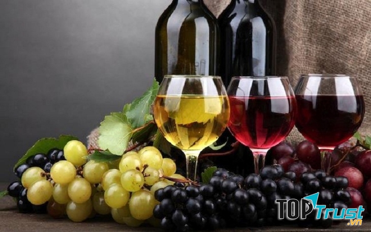 Giảm quá trình xơ vữa động mạch, tránh nguy cơ mắc bệnh về phổi