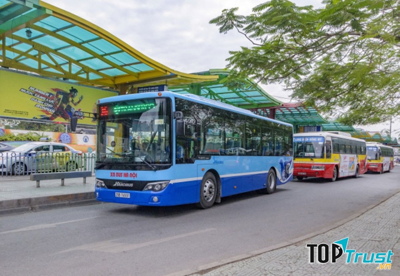 Ảnh sưu tầm (Nguồn Internet)