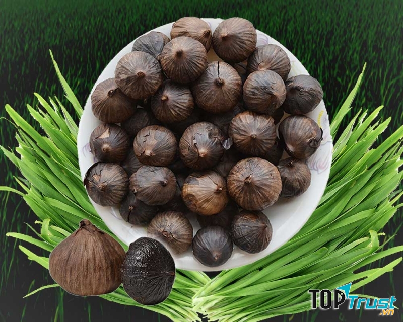 Tỏi đen có tác dụng chống xơ vữa động mạch